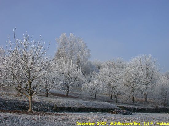 Dezember 2007