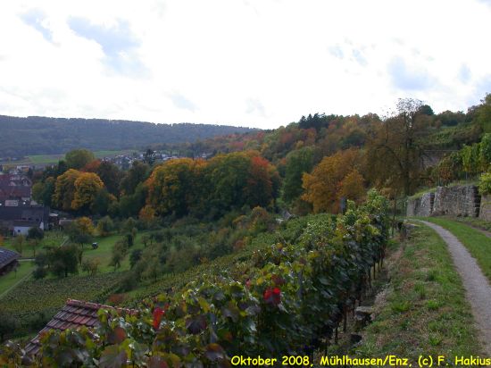 Oktober 2008