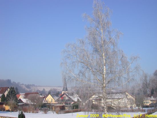 Januar 2009