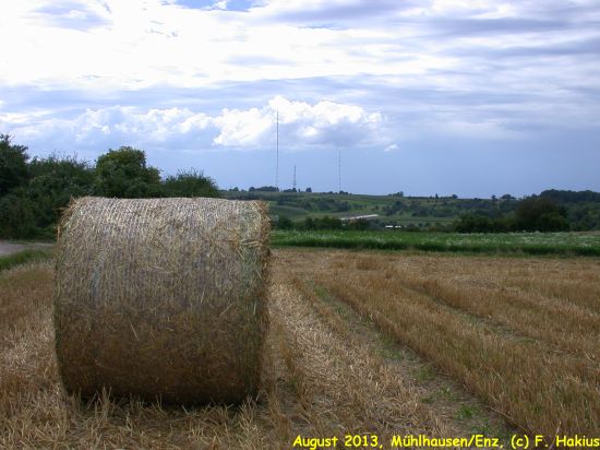 August 2013