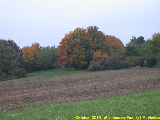 Oktober 2015