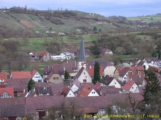 März 2025