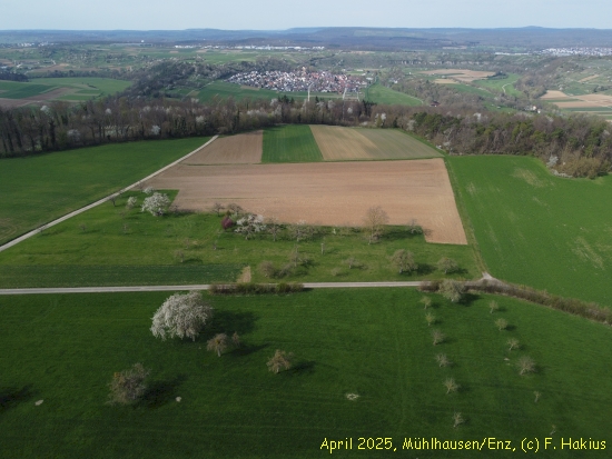 April 2025